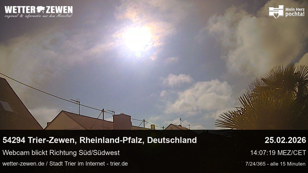 Bild