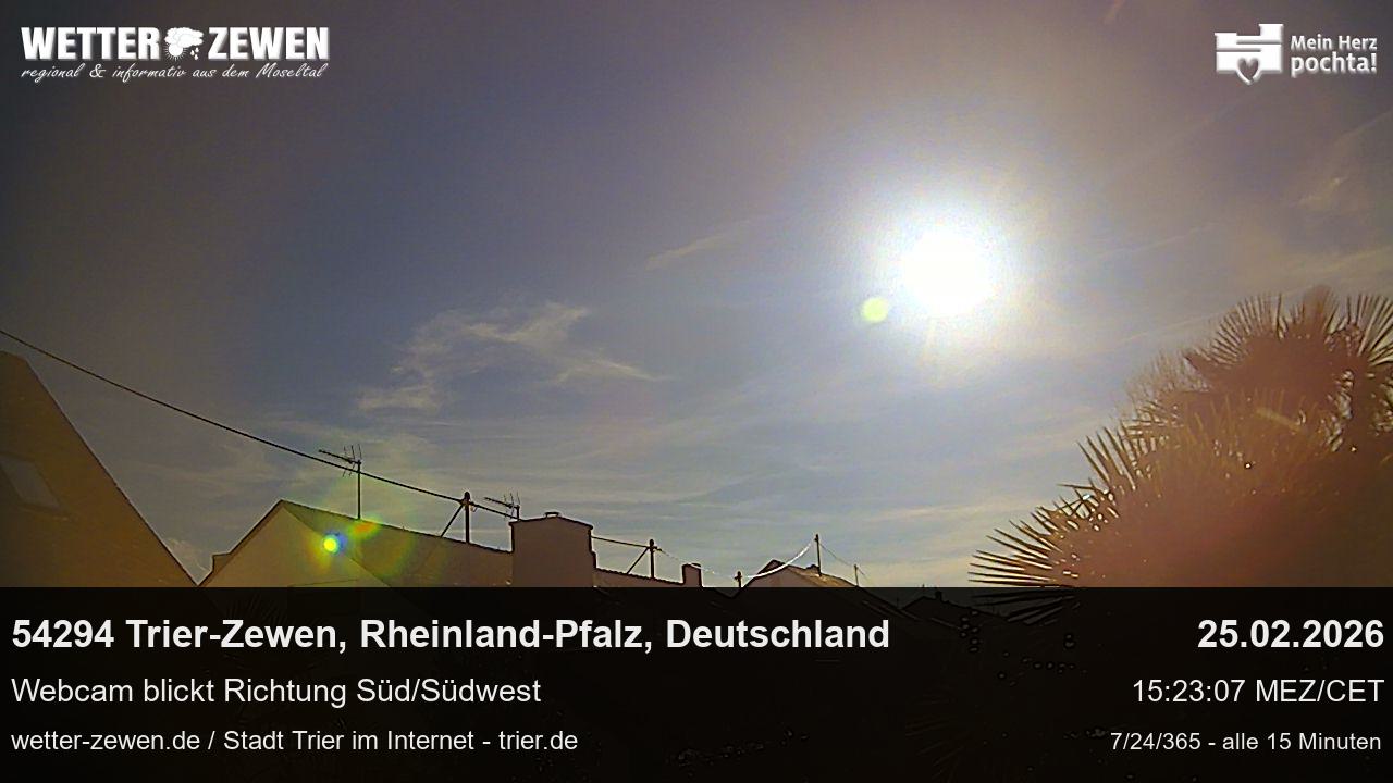 Bild