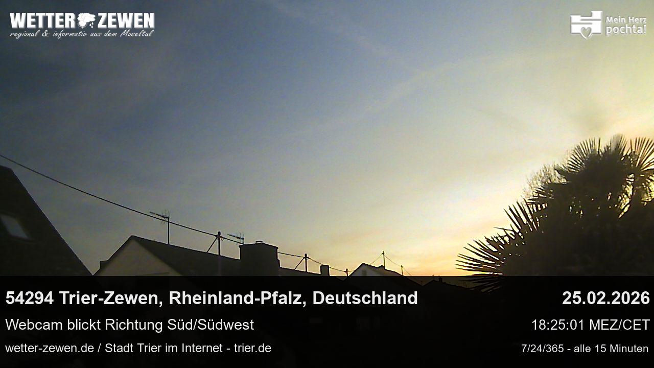 Bild