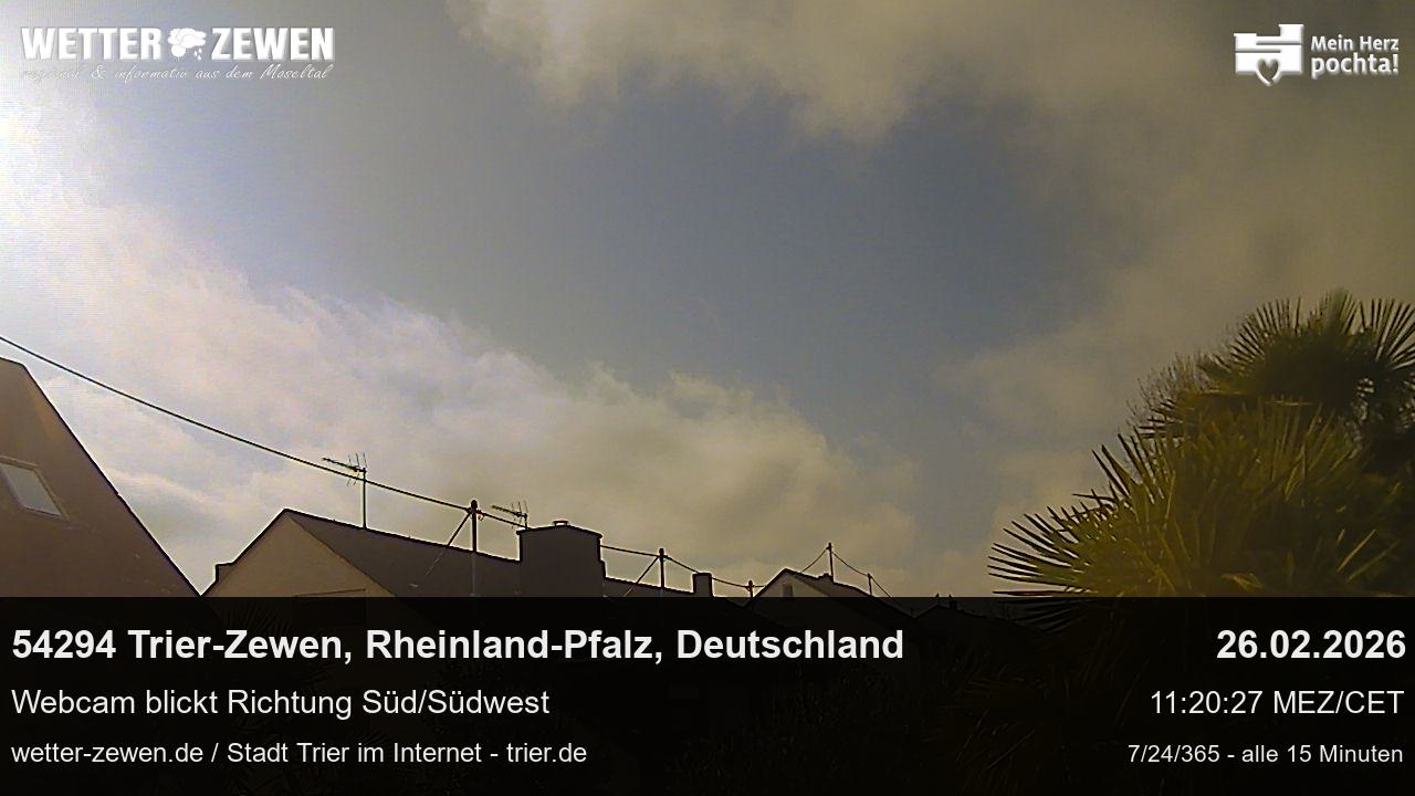 Bild