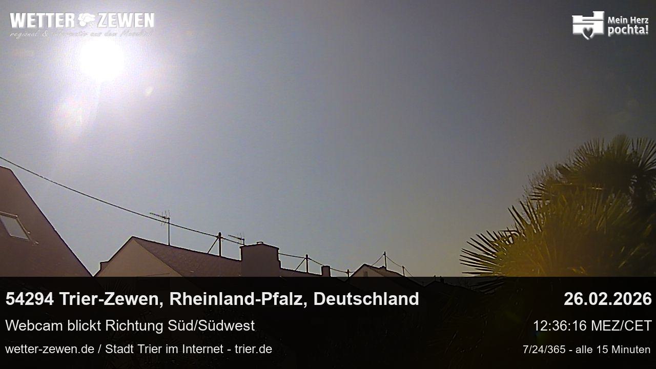 Bild