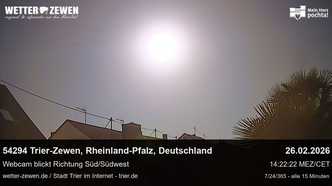 Bild
