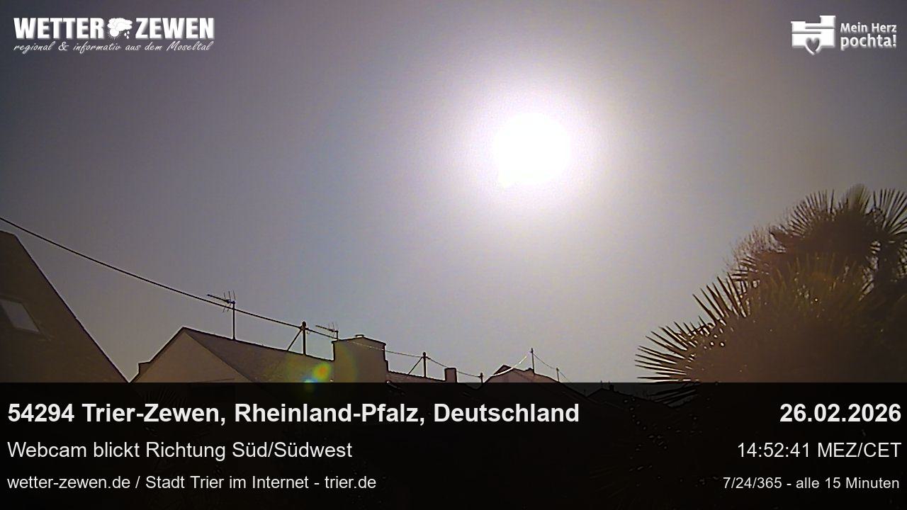 Bild