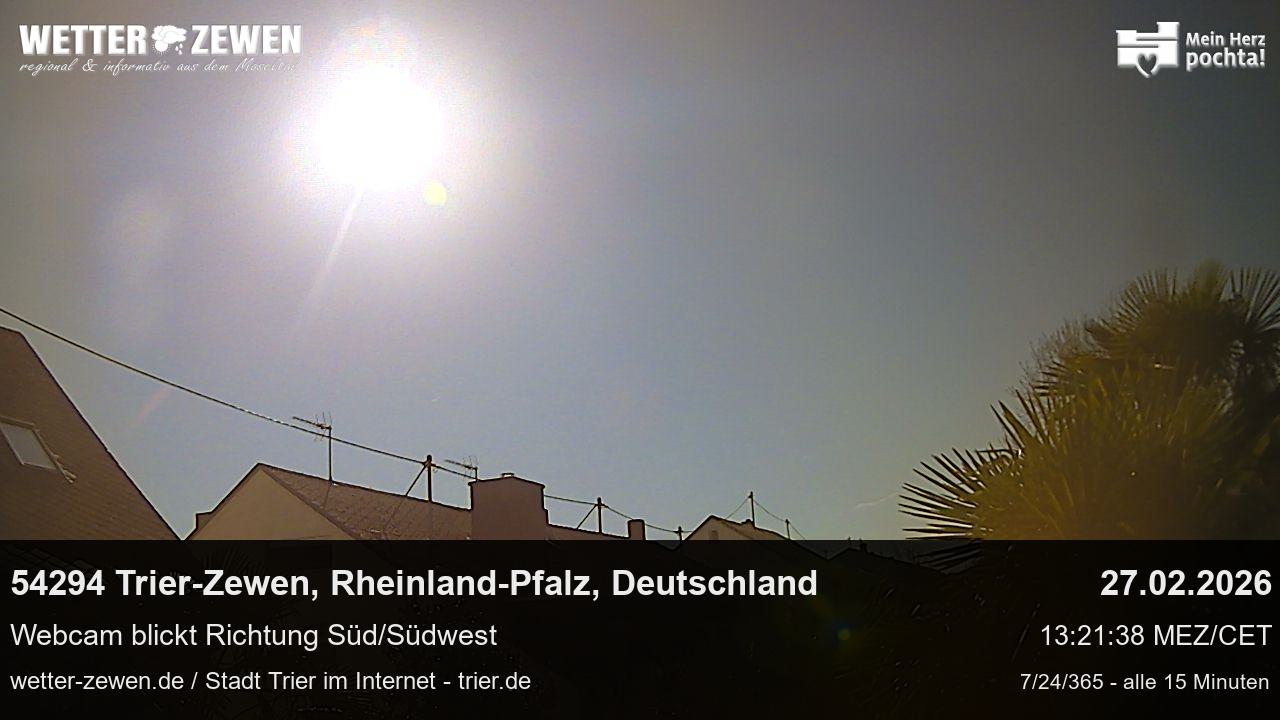 Bild