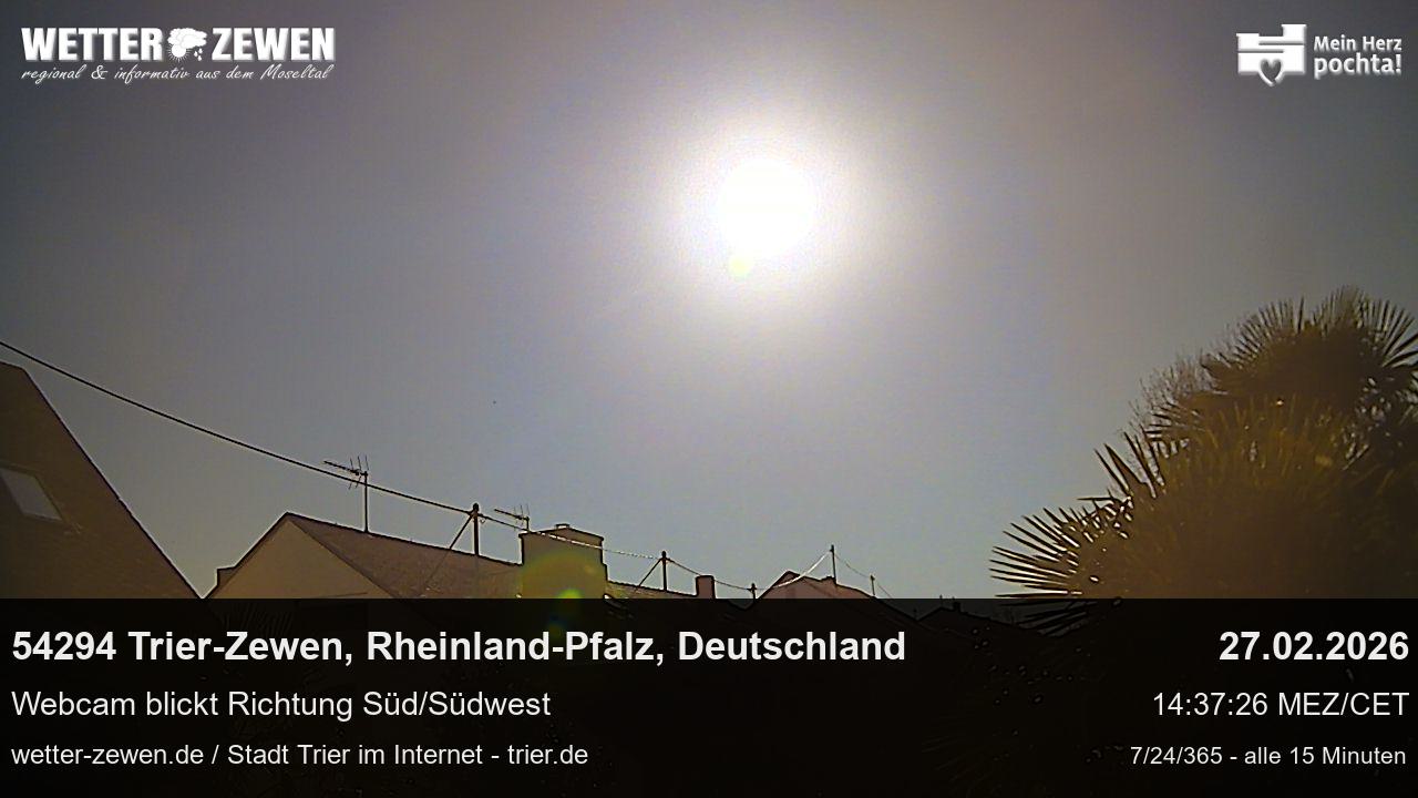 Bild