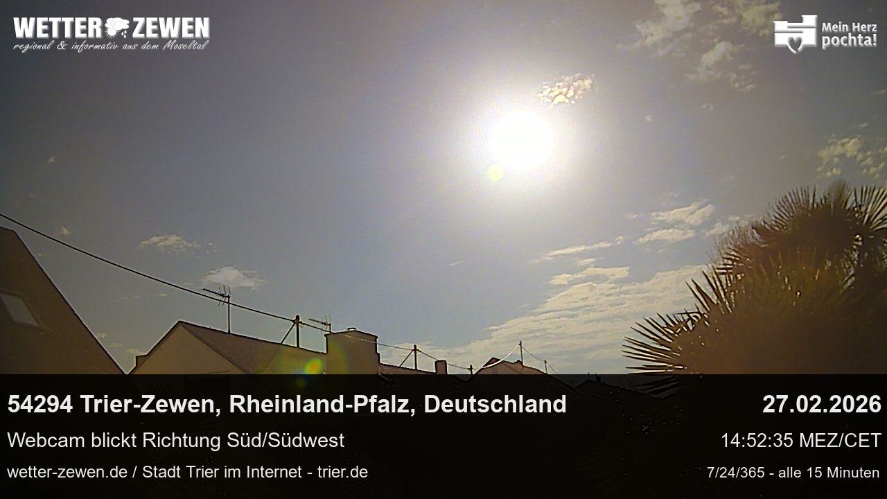 Bild