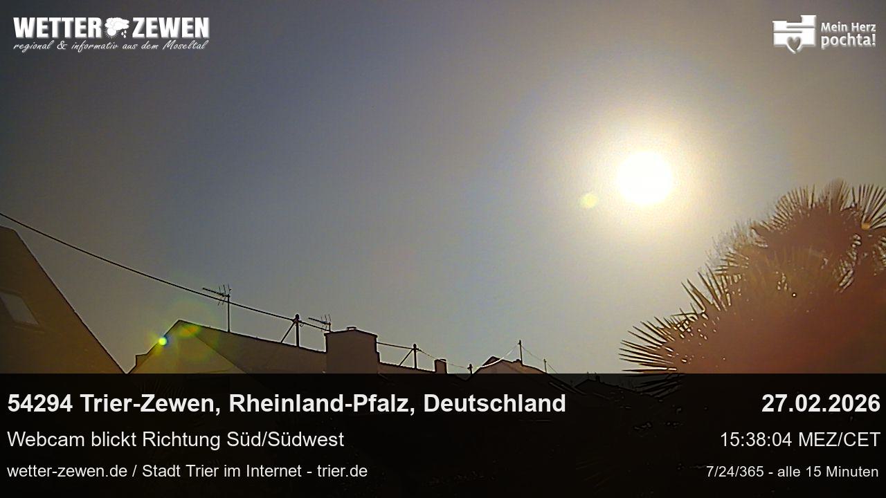 Bild