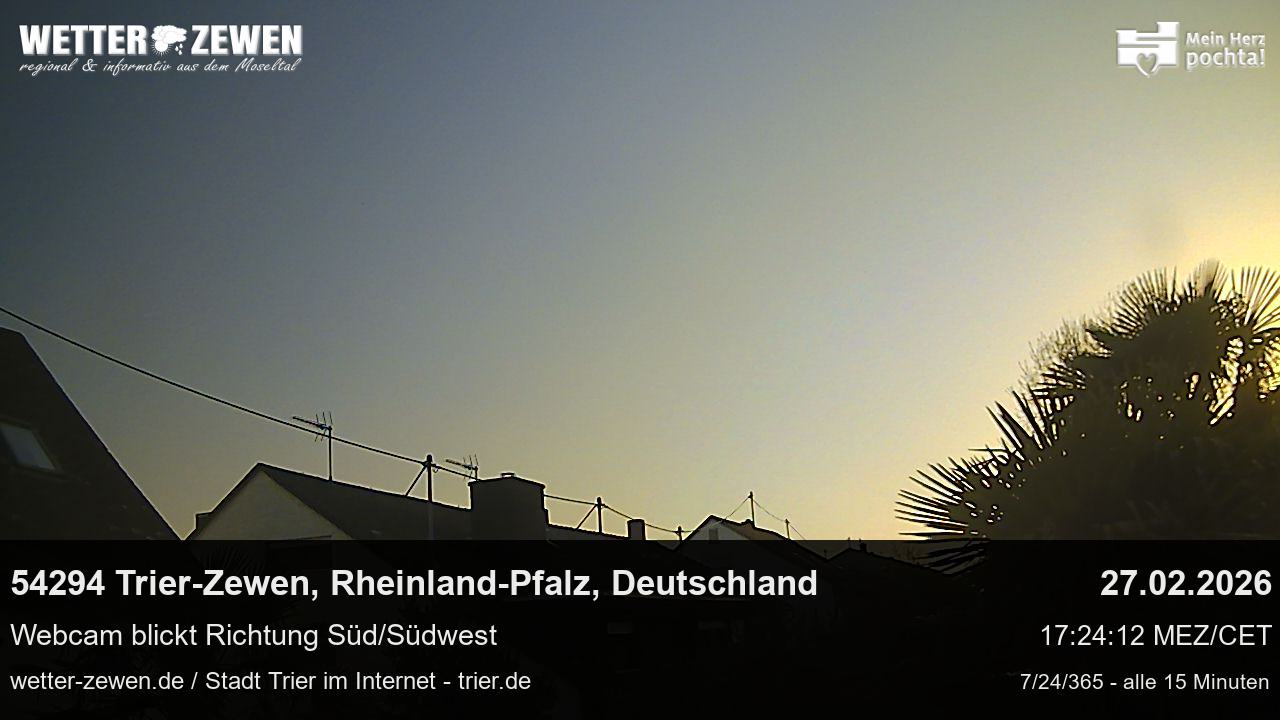 Bild