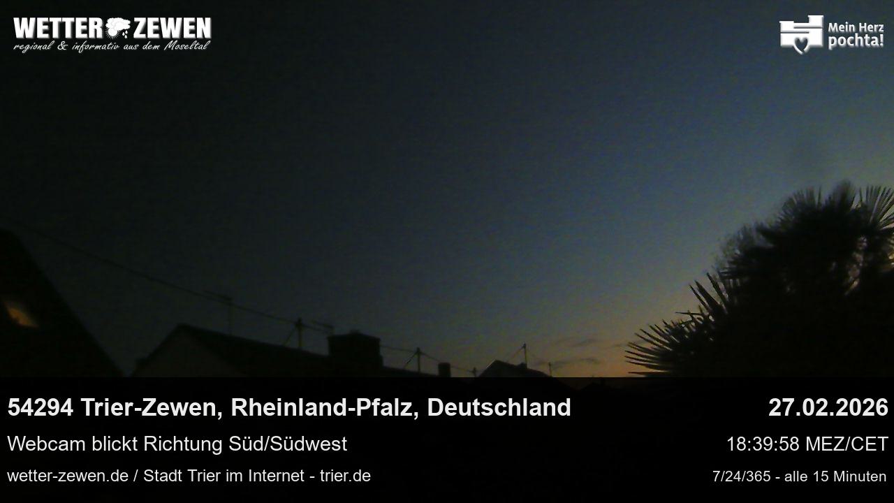 Bild