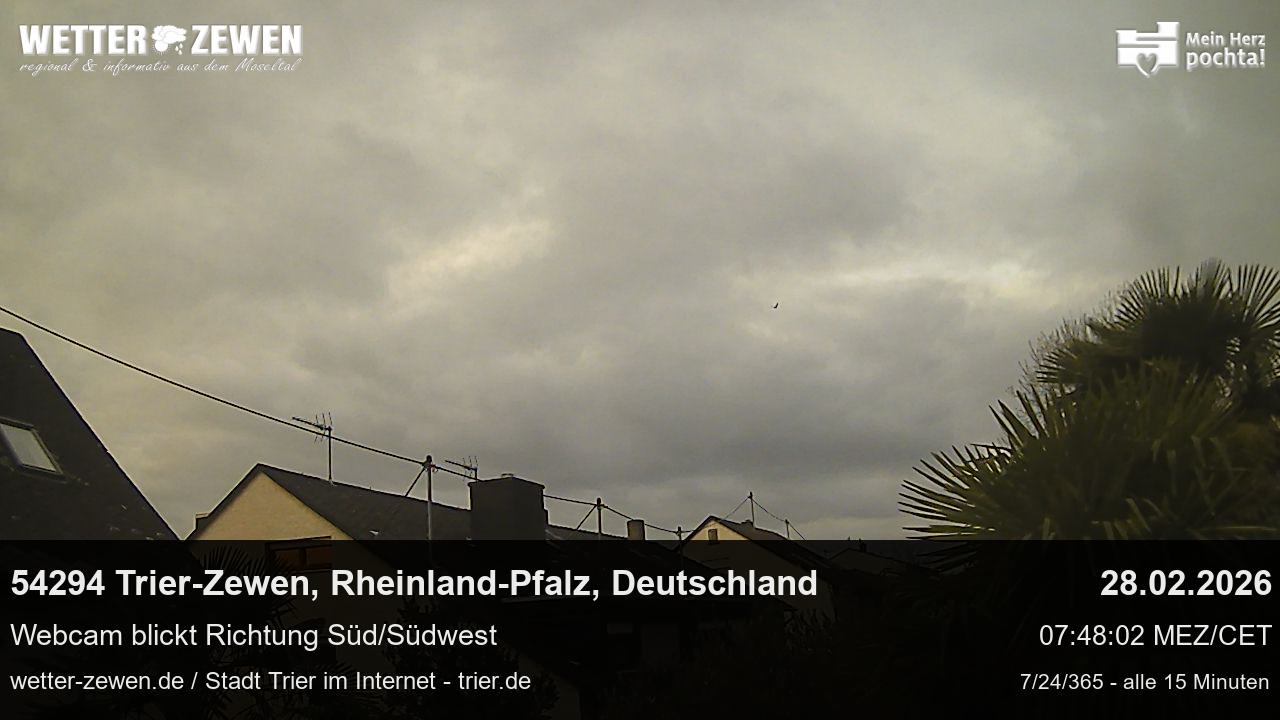 Bild