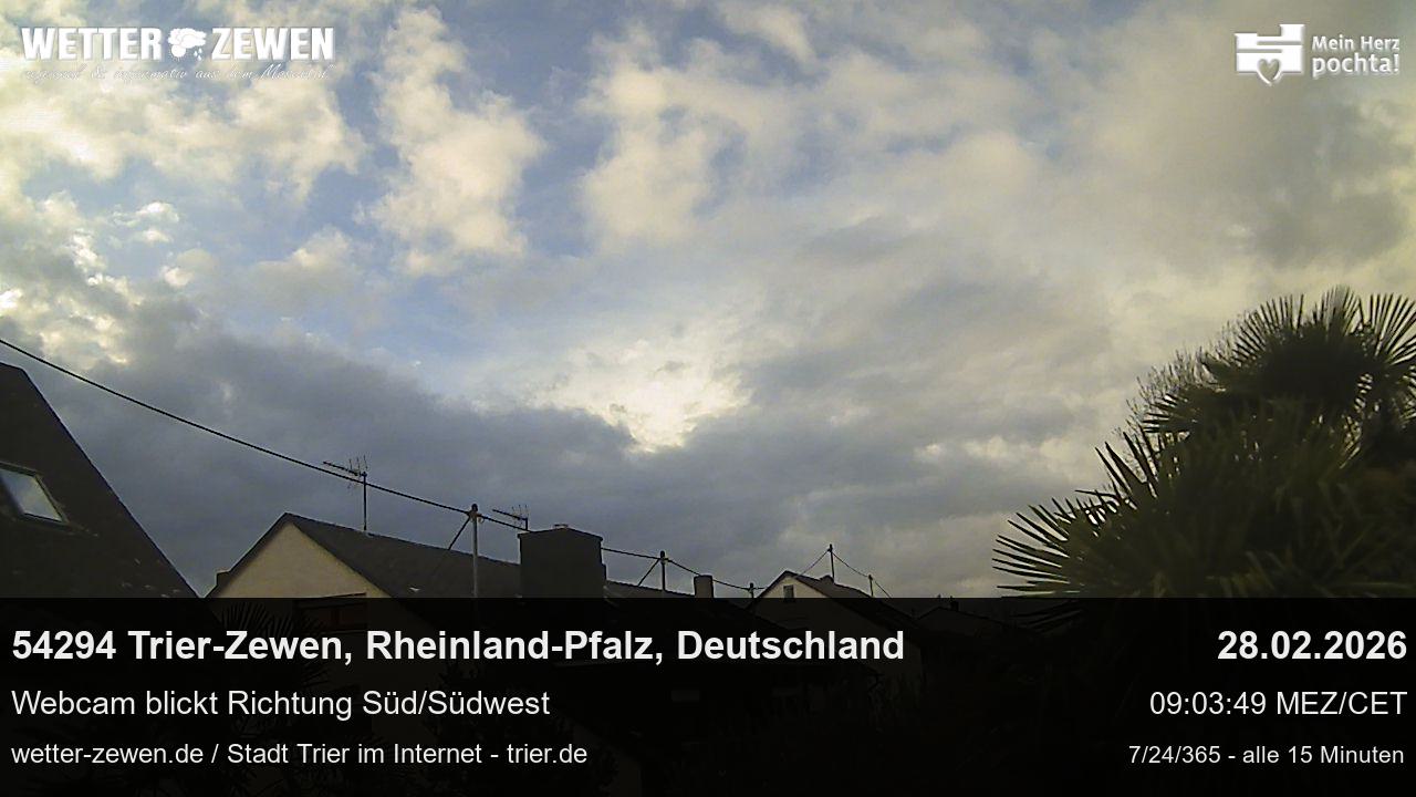 Bild