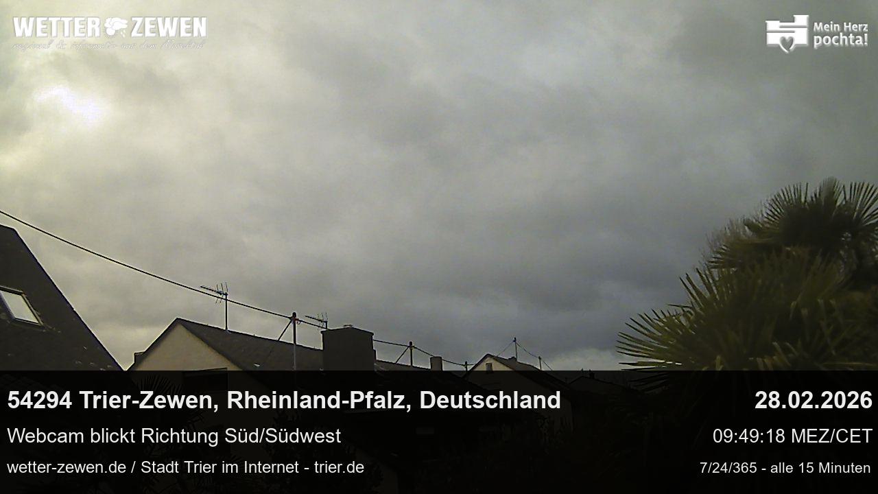 Bild