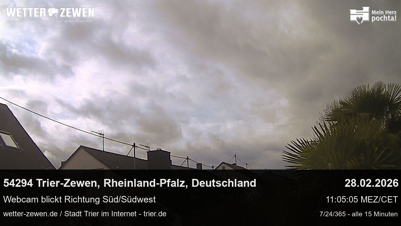 Bild