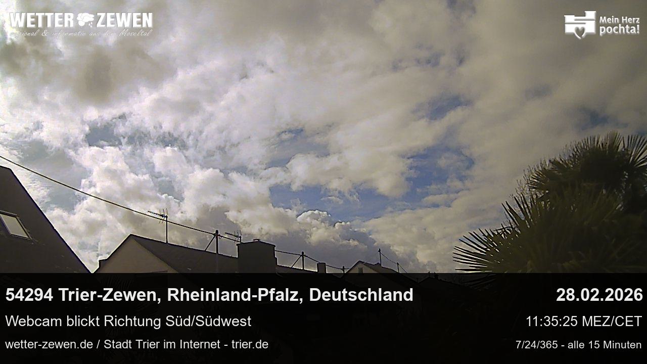 Bild