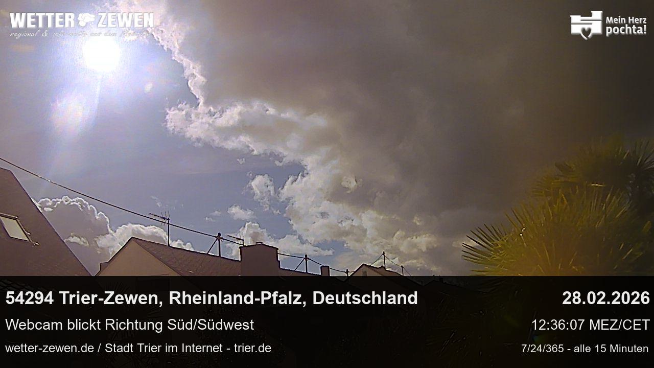 Bild
