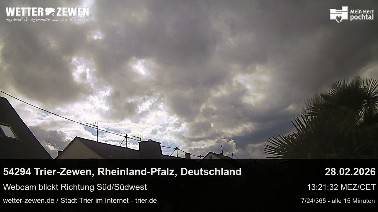 Bild