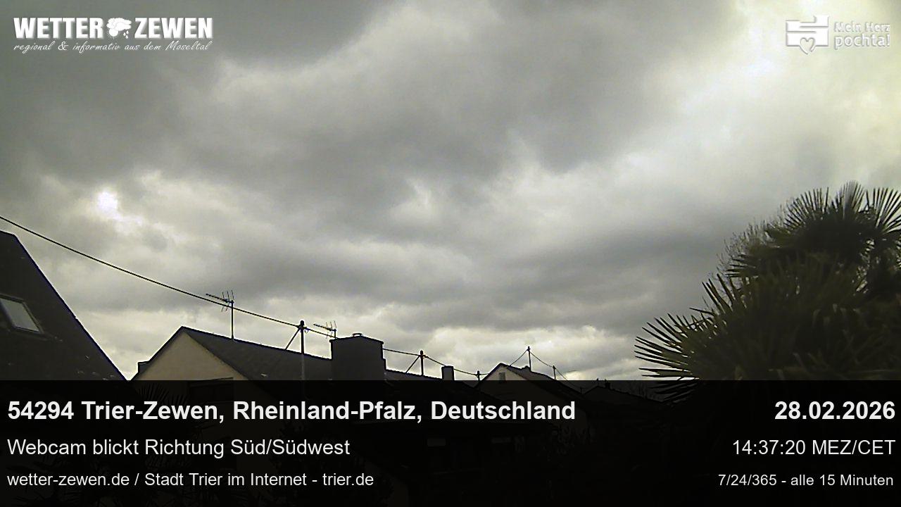 Bild