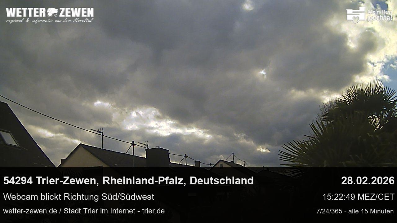 Bild