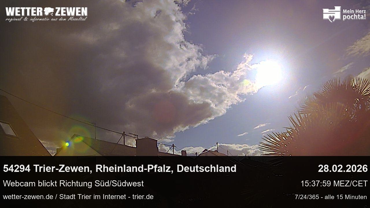 Bild