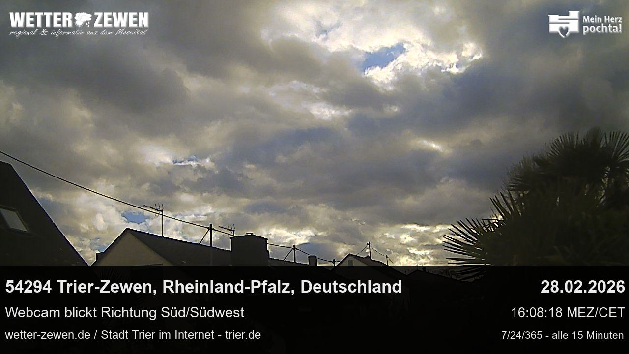 Bild