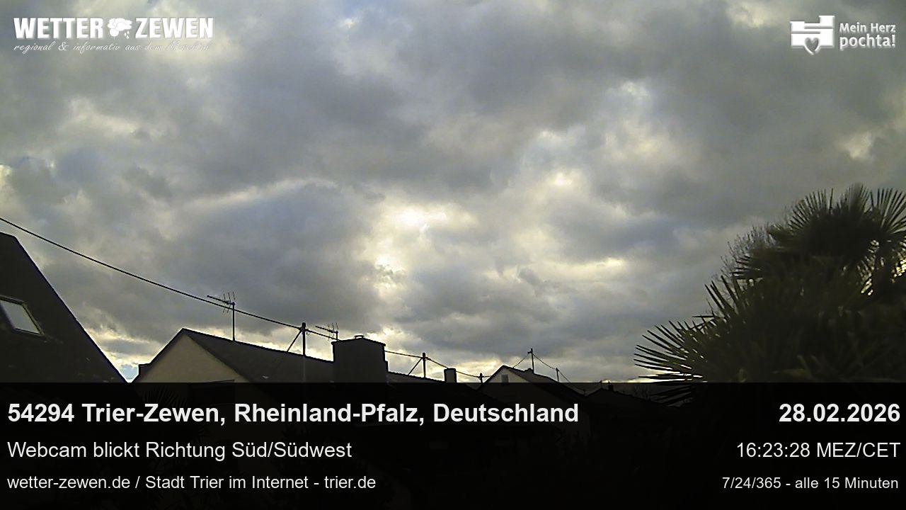 Bild