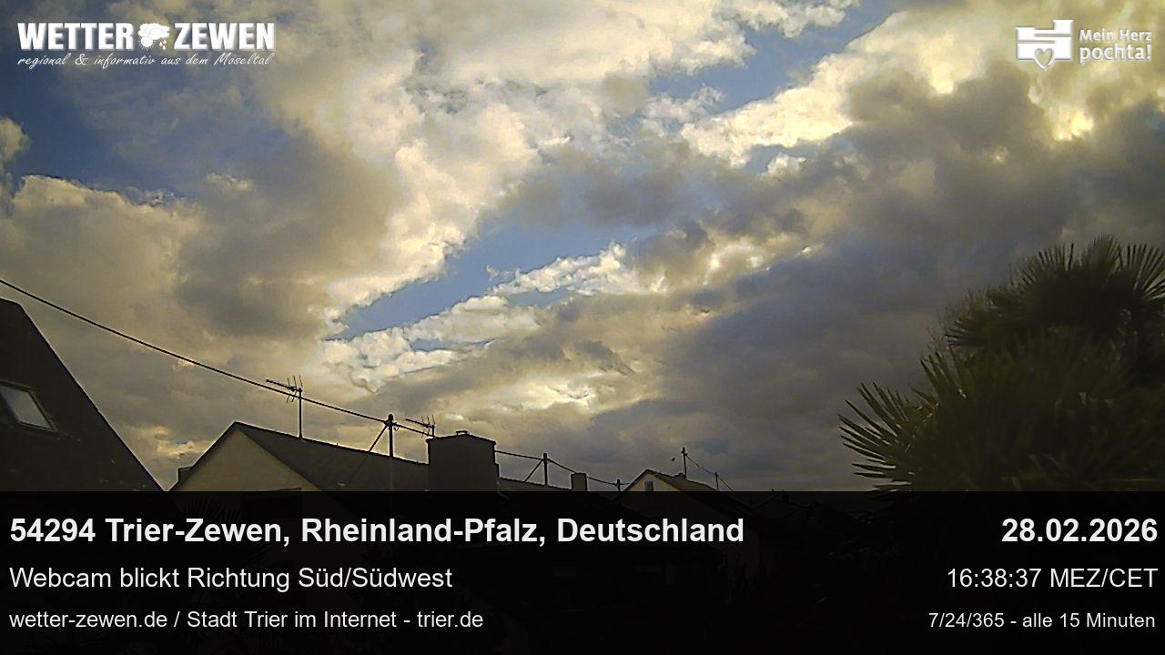 Bild