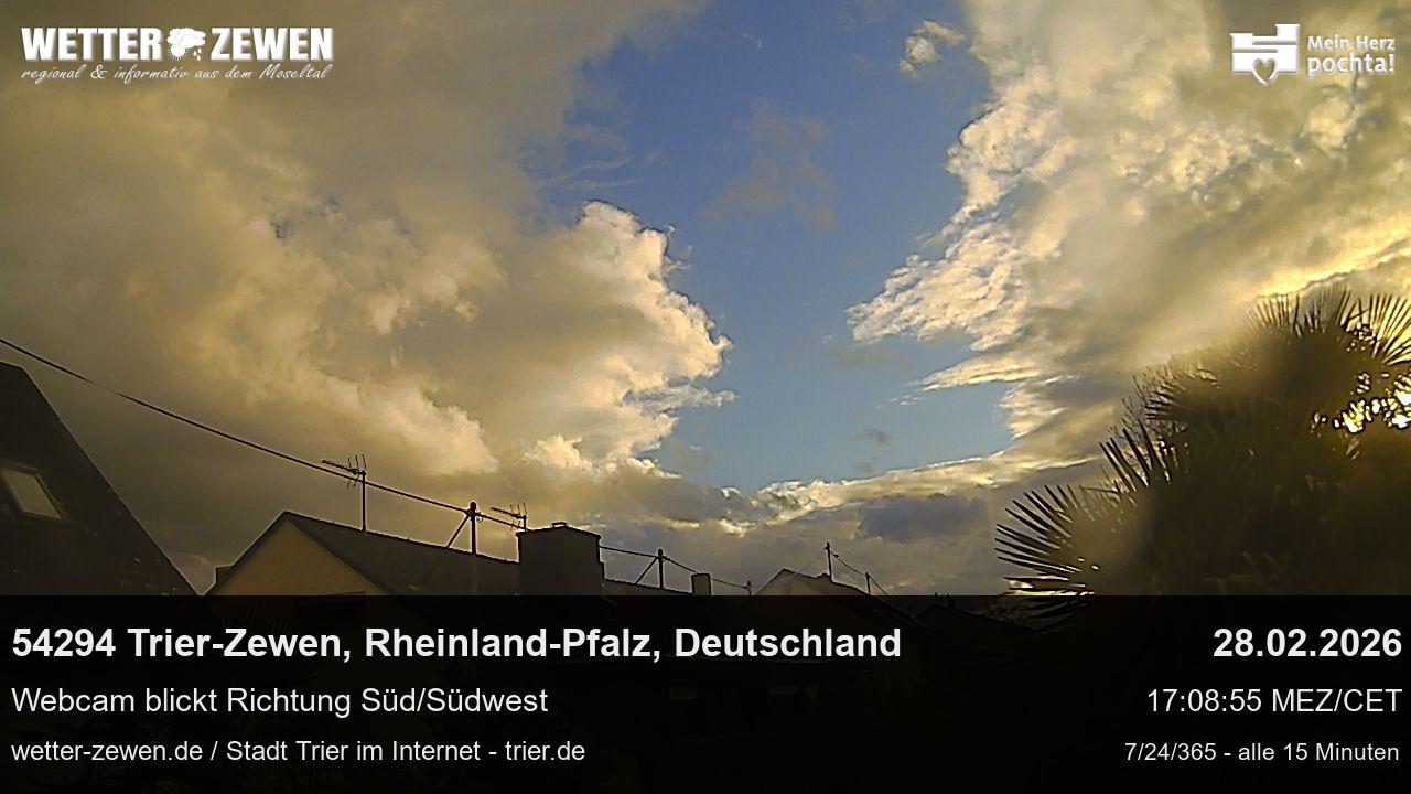 Bild
