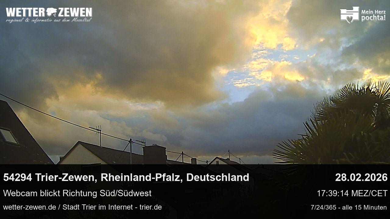 Bild
