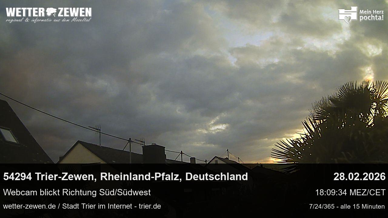 Bild