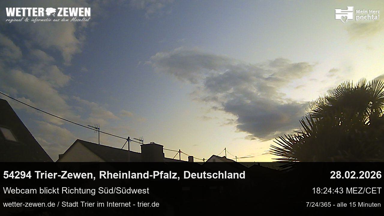 Bild