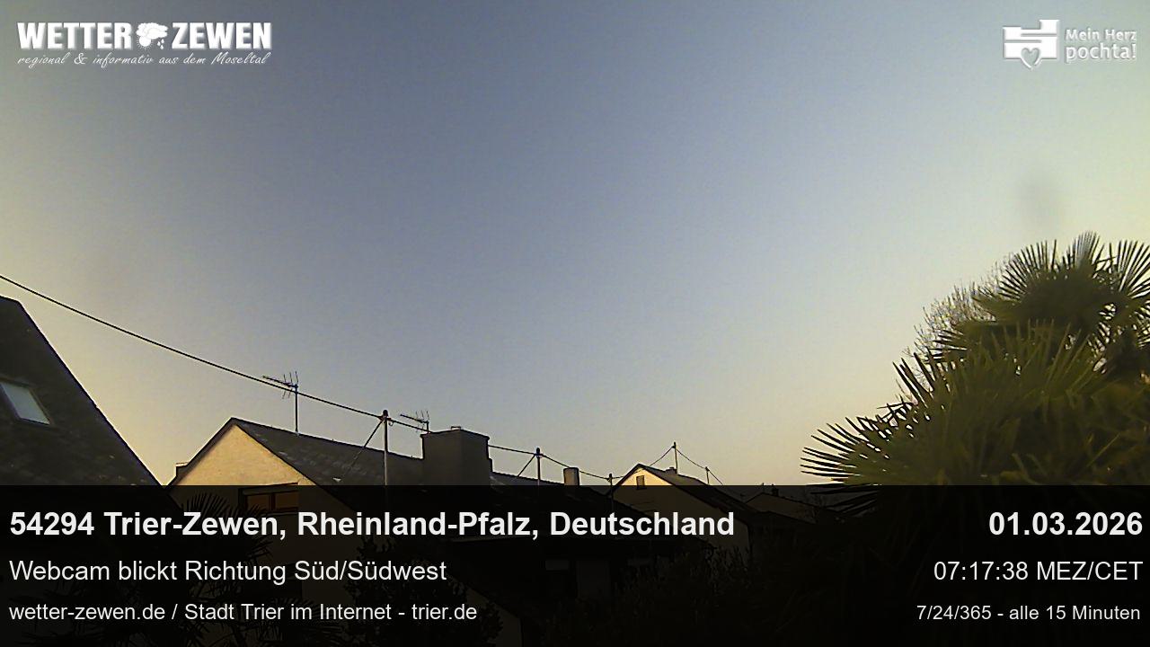 Bild