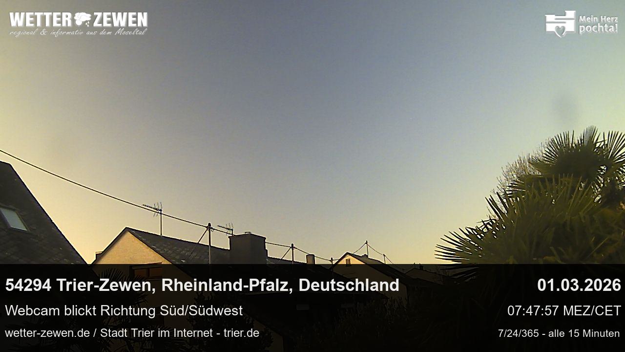 Bild