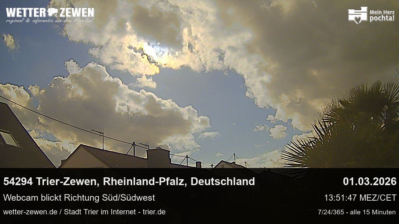 Bild