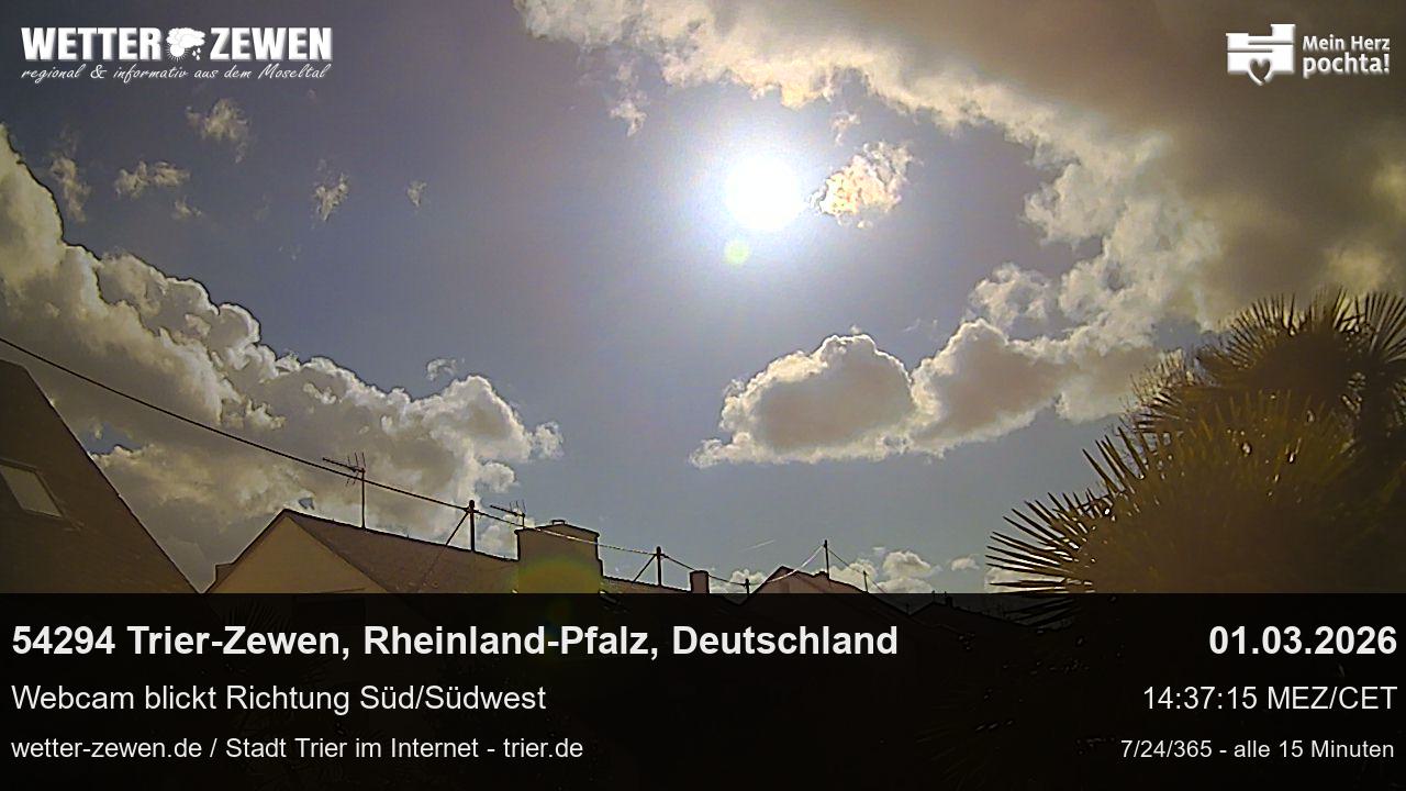 Bild