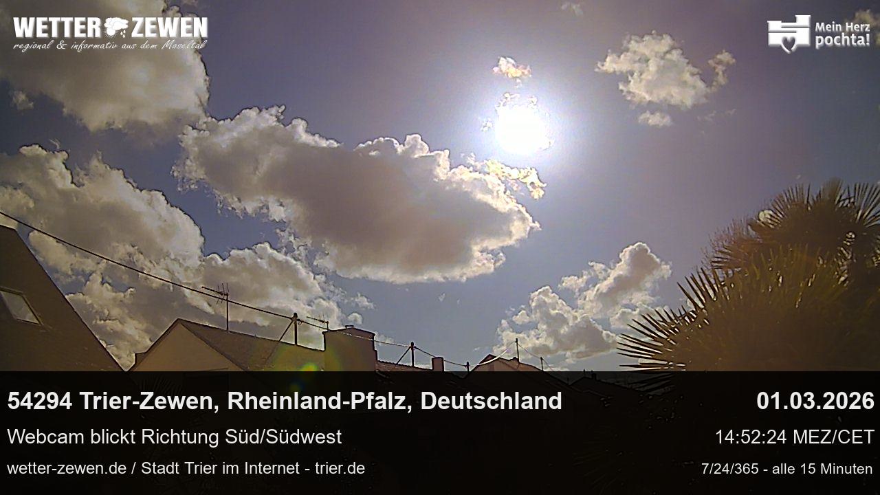 Bild