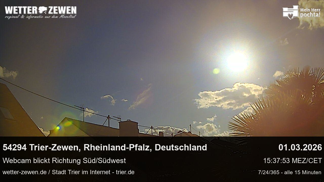 Bild