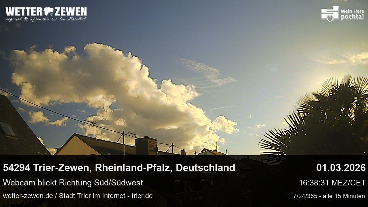 Bild