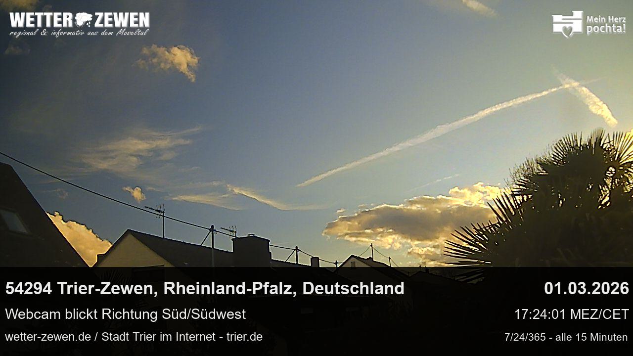 Bild