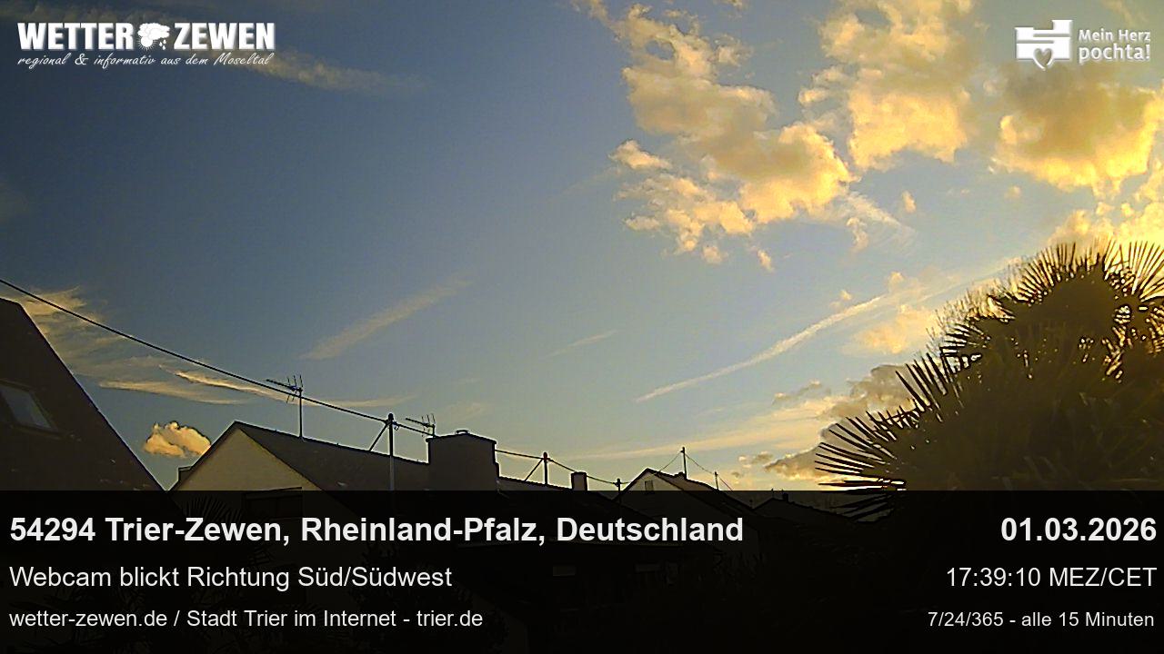 Bild