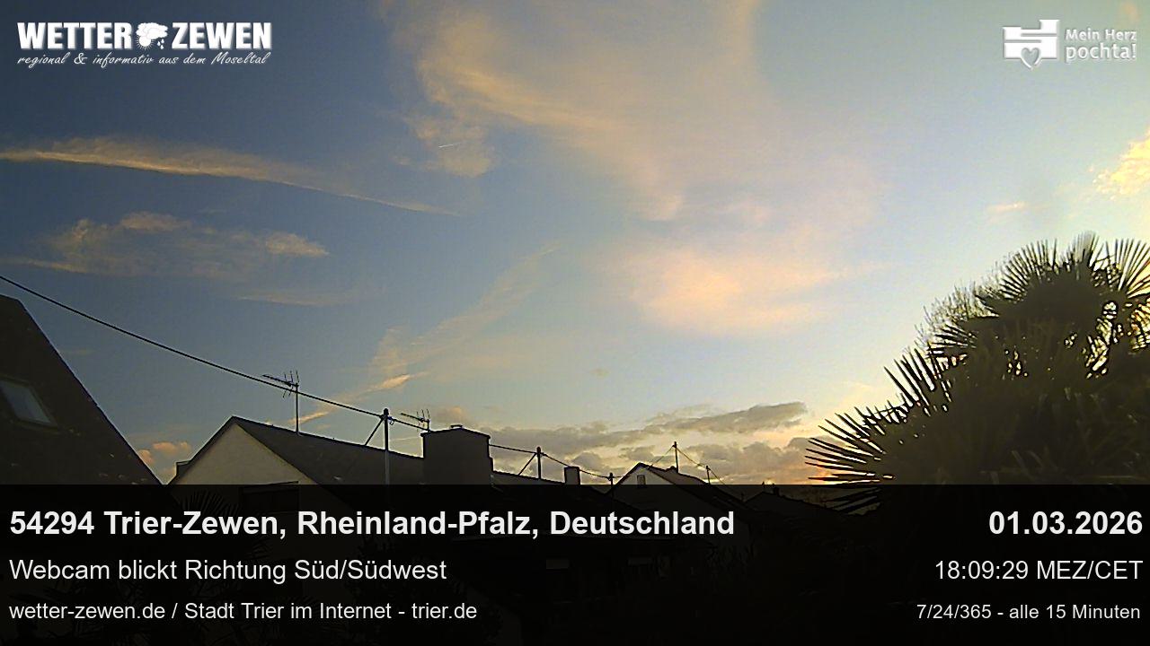 Bild