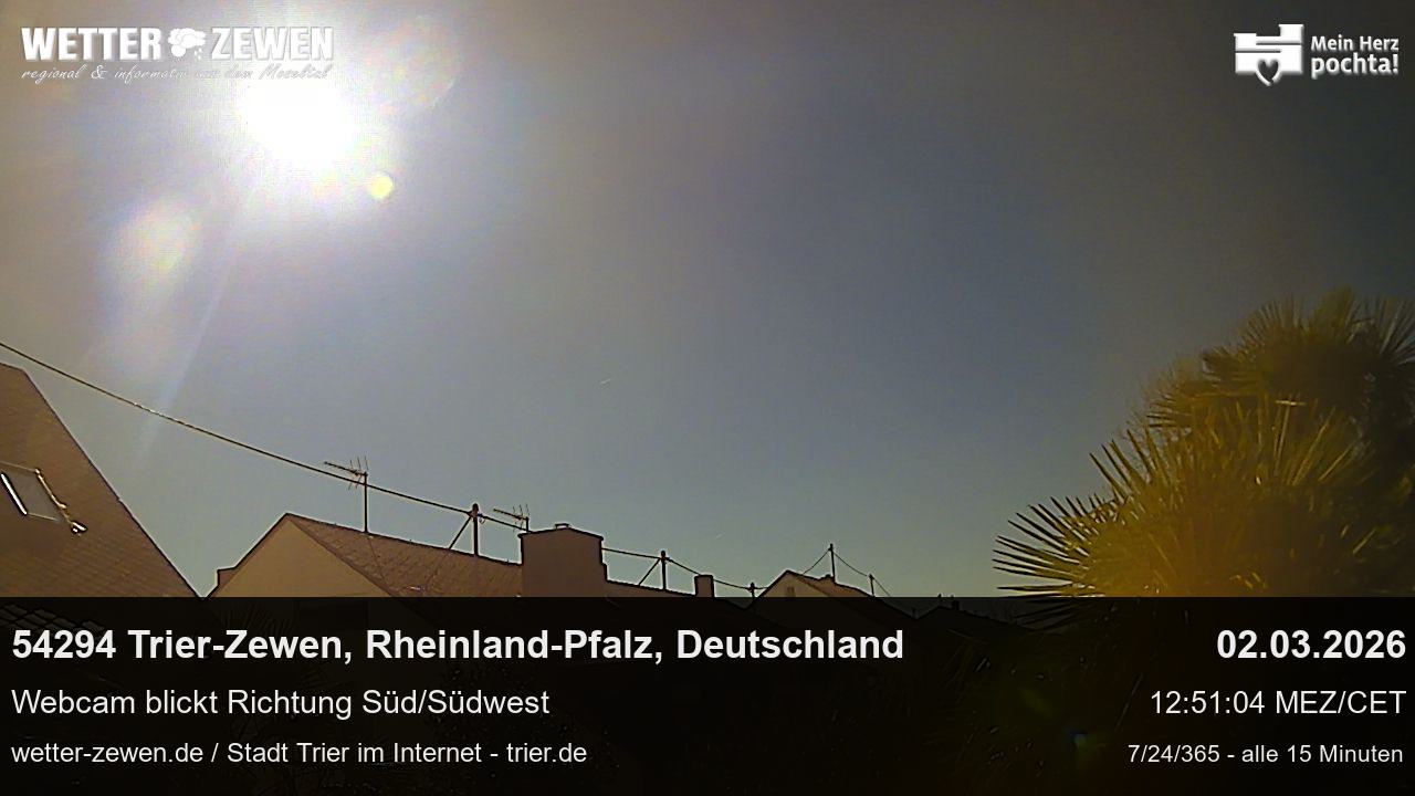 Bild