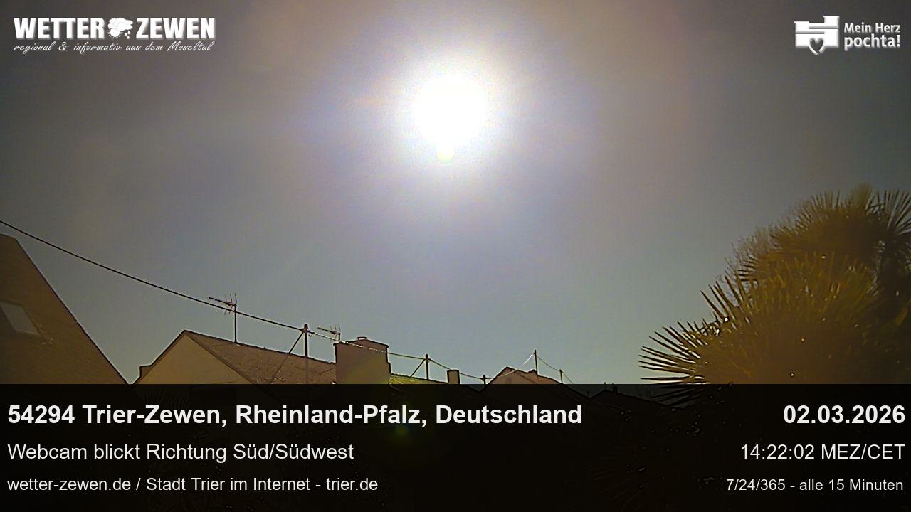 Bild