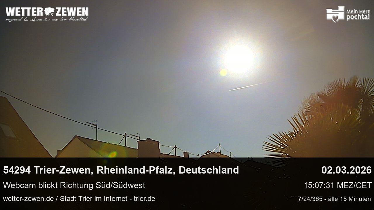 Bild