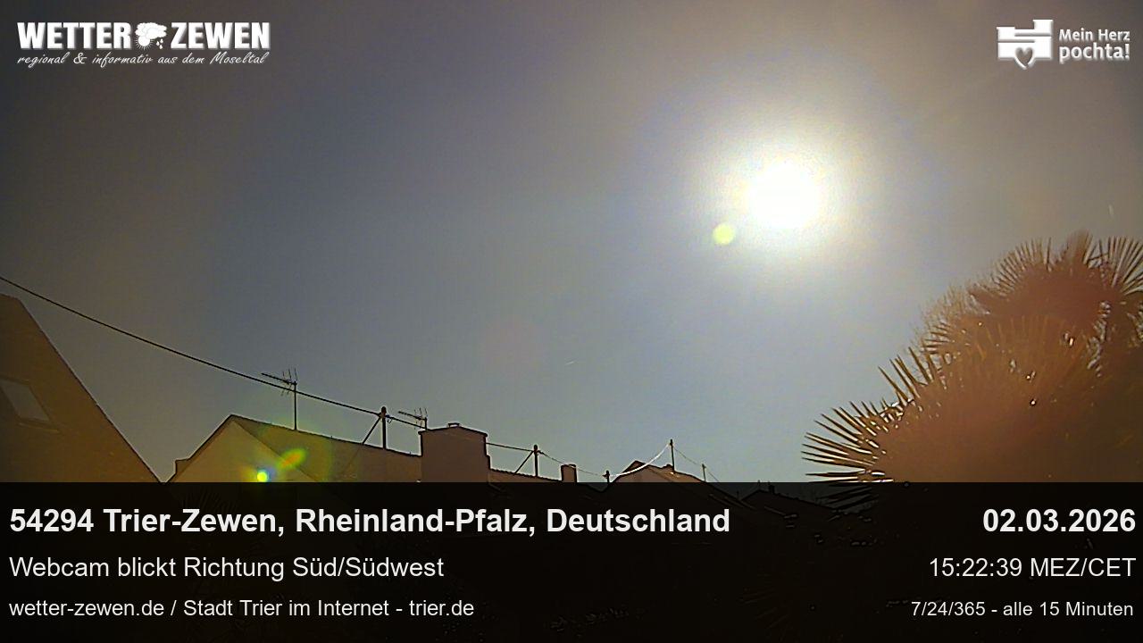 Bild