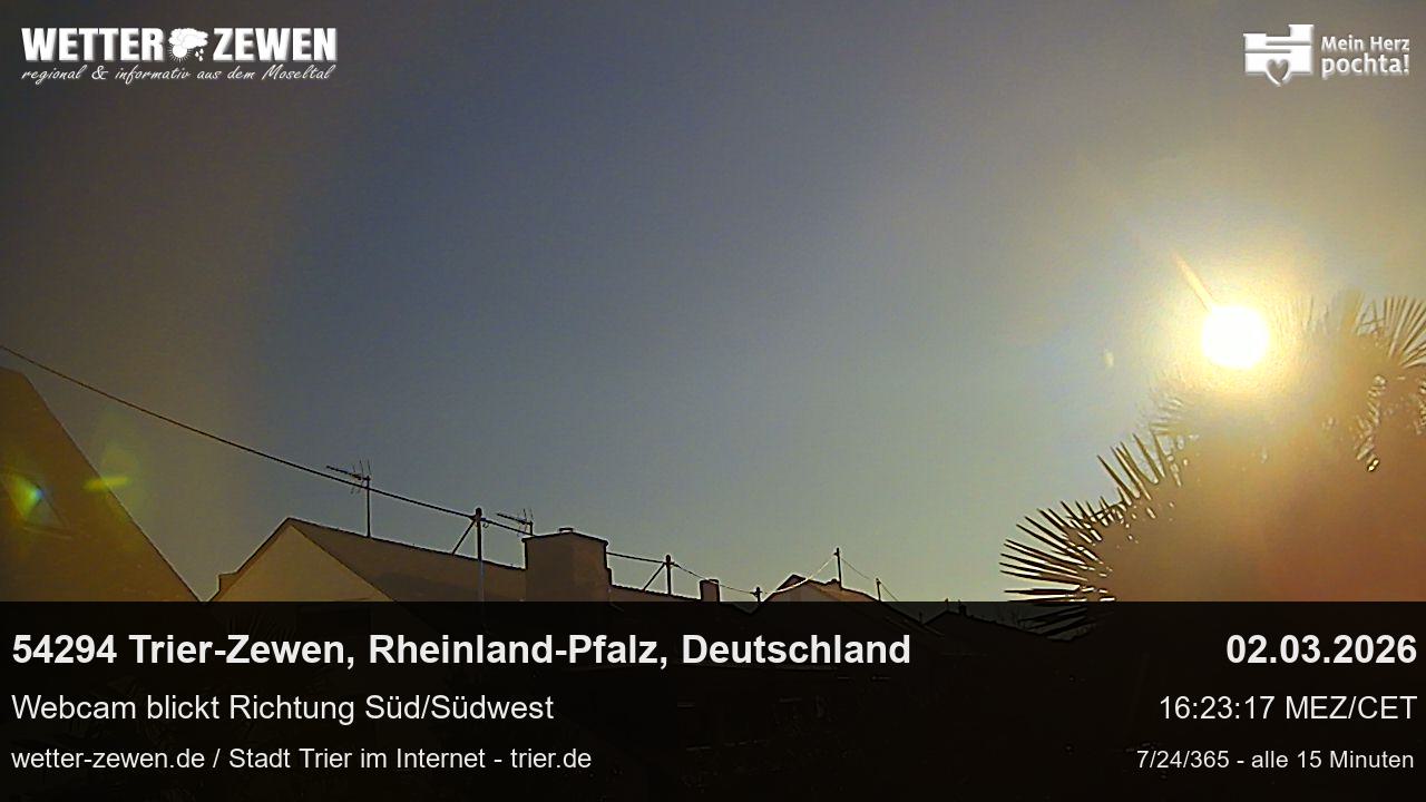 Bild