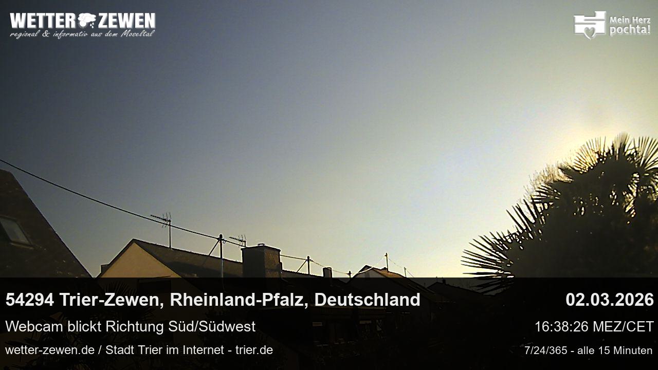 Bild