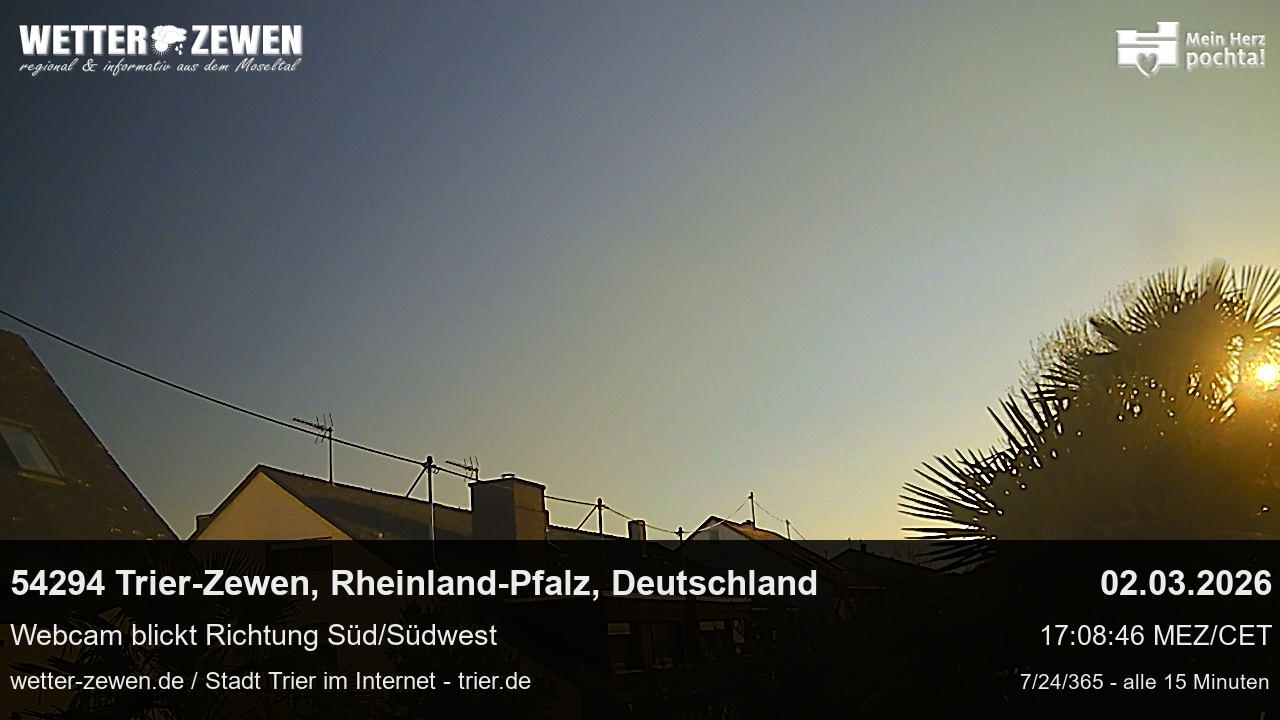 Bild