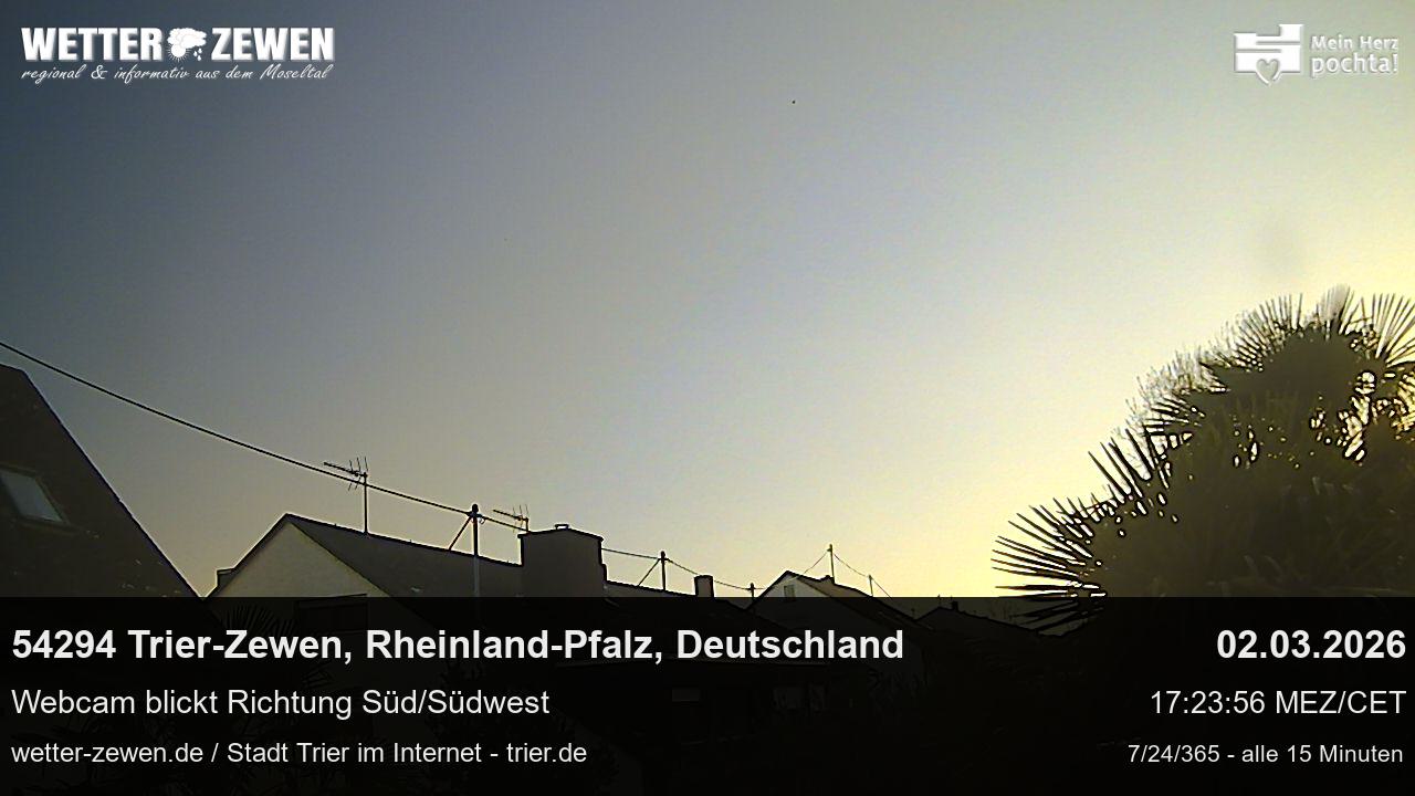 Bild