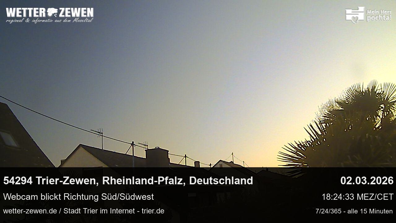 Bild