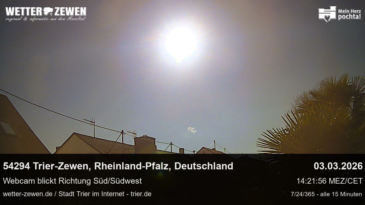 Bild